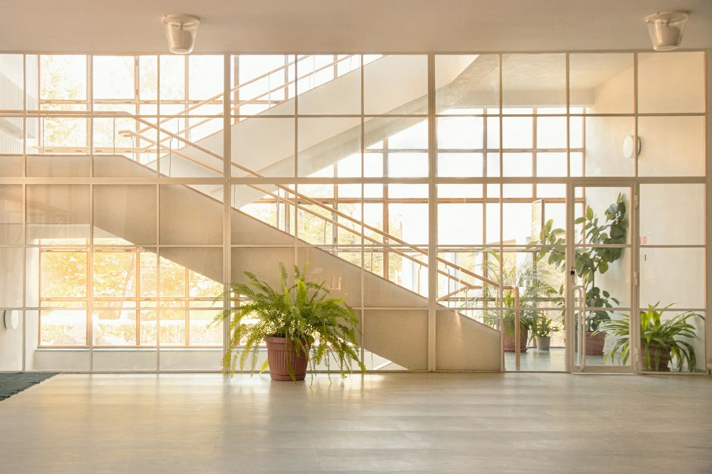 A bright modern space with glass partitions