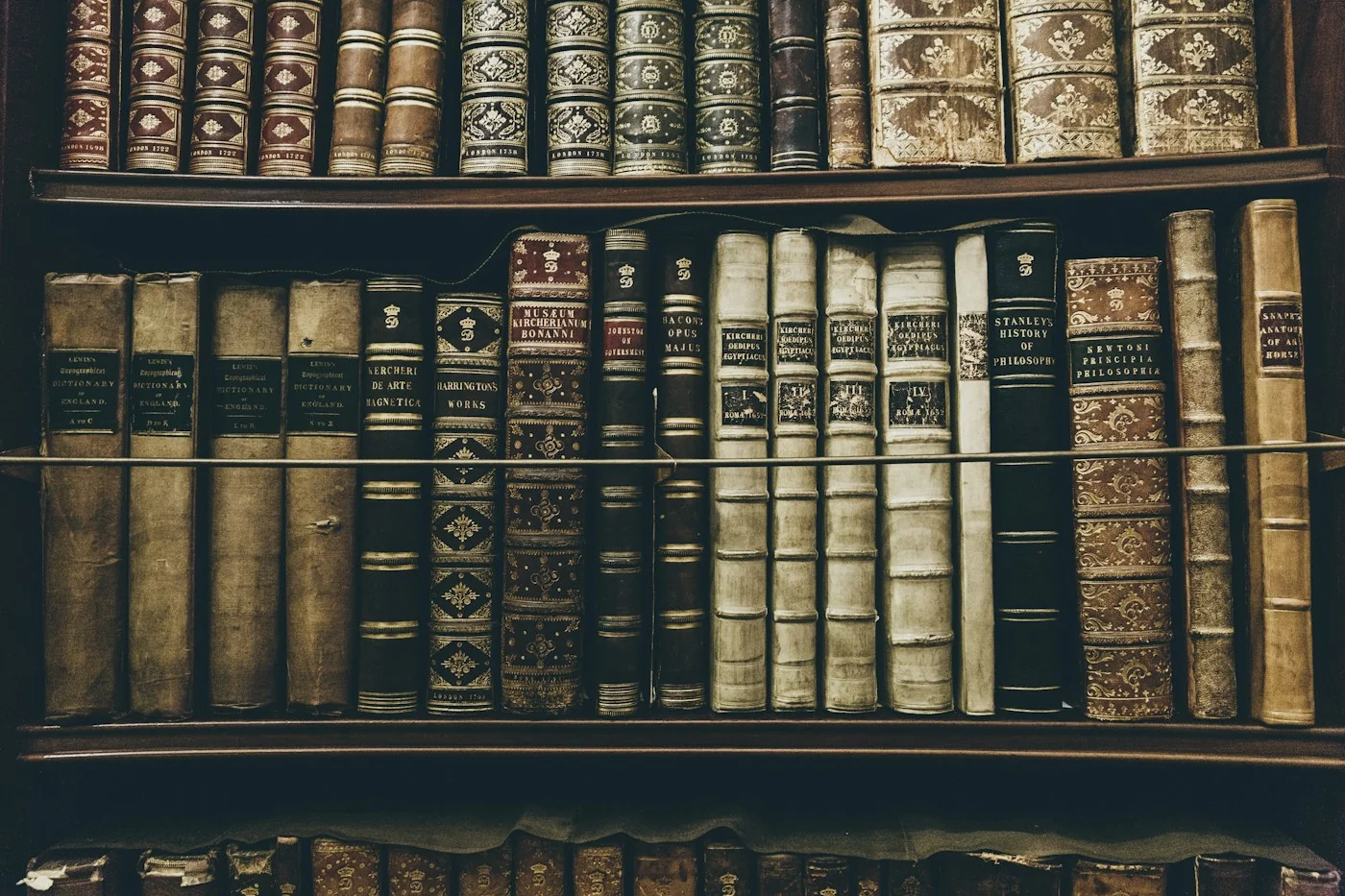 Bookshelves with bound publications